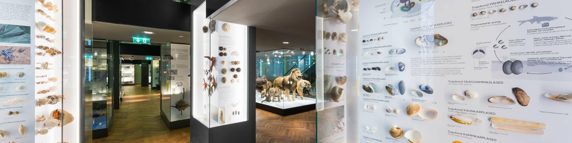 University of Tartu Natural History Museum